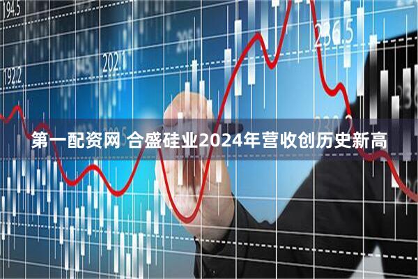 第一配资网 合盛硅业2024年营收创历史新高